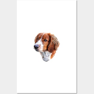 Welsh Springer Spaniel Dog Head Art Posters and Art